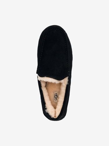 Superge in čevlji UGG Ascot Črna | 1101110, 2