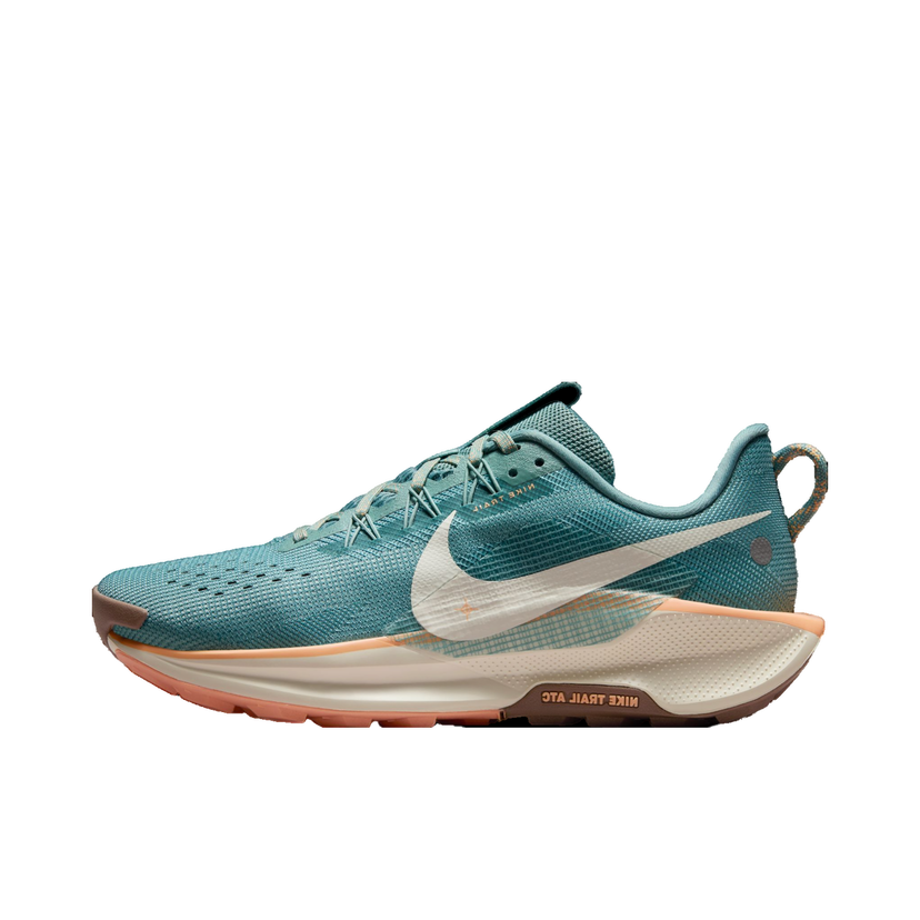 Superge in čevlji Nike Pegasus Trail 5 Turkizna | dv3865-010