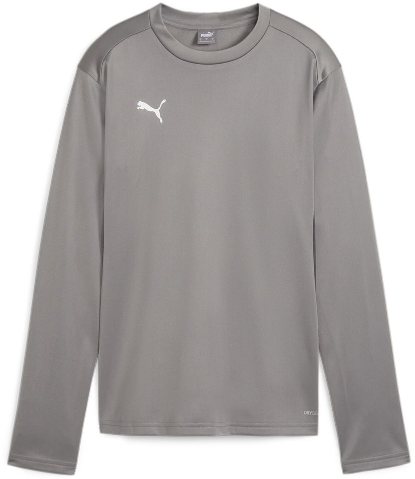 Pulover Puma teamGOAL Training Sweatshirt Siva | 658652-13