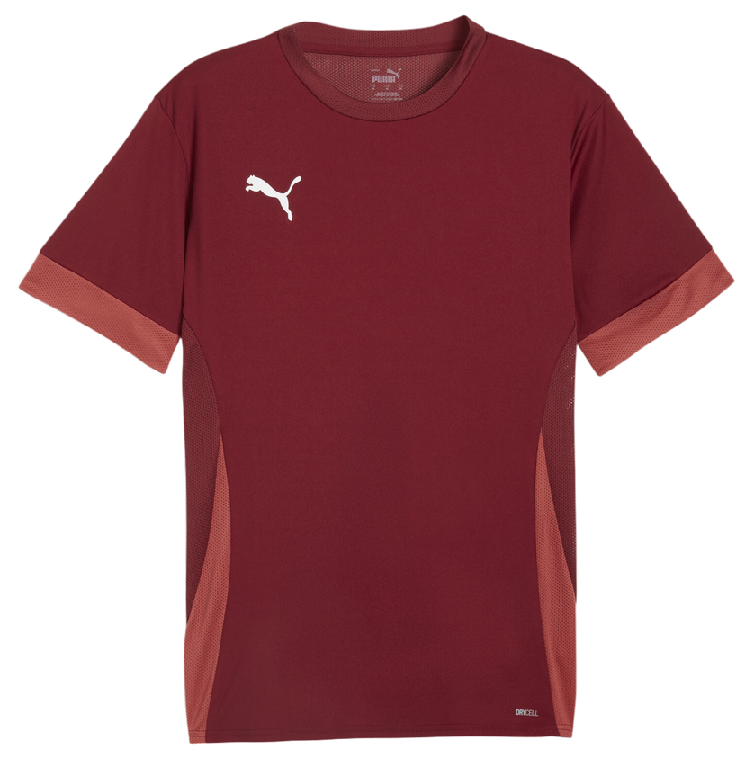 Dres Puma teamGOAL Matchday Jersey Bordo | 705747-09