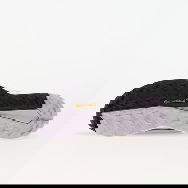 Superge in čevlji adidas Performance Terrex Free Hiker 2 Low Gtx W Prlofi/ Silver Dawn/ Aurbla Lila | IH3540, 1