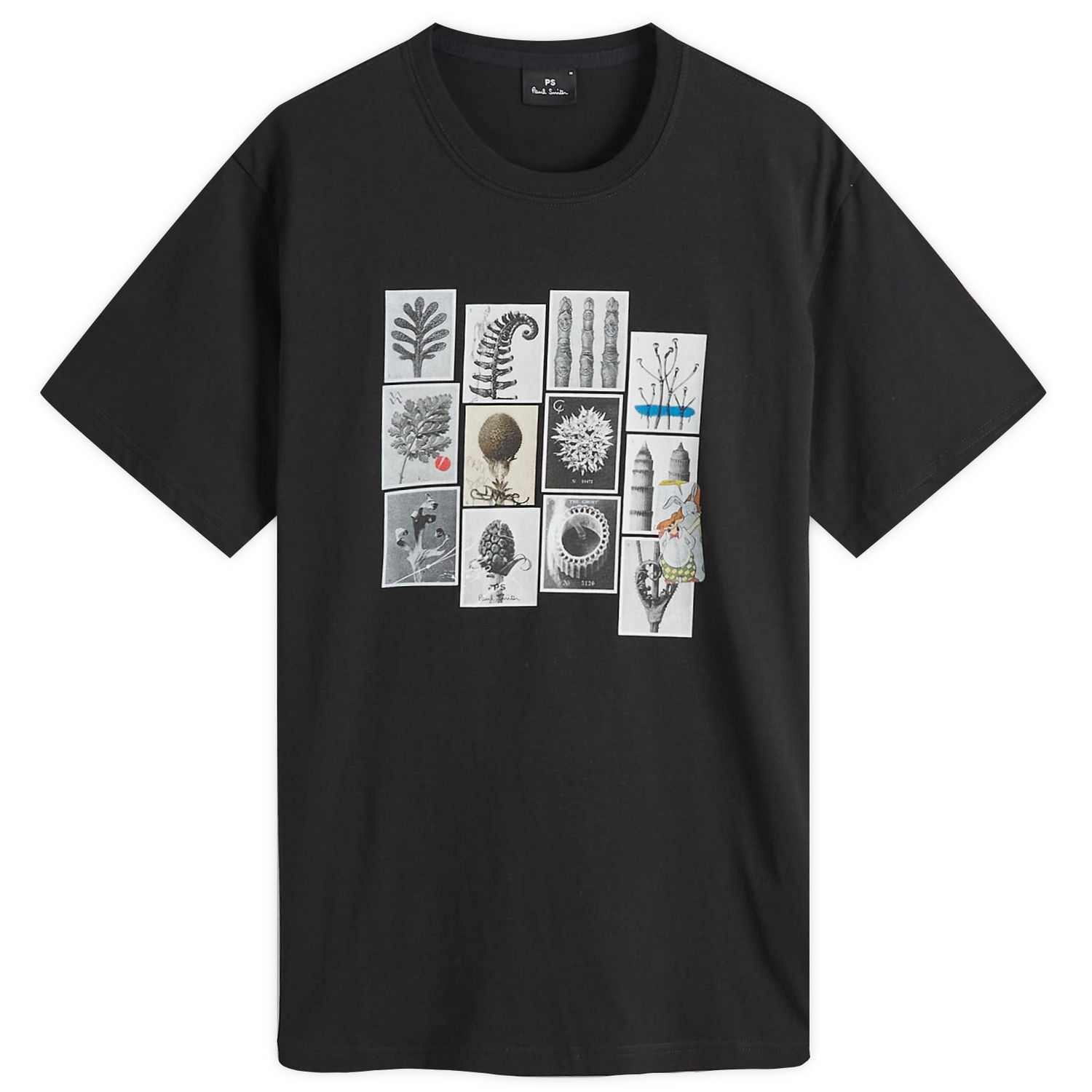 Majica Paul Smith Paul Smith Desert Flowers Graphic T-Shirt, Size Large Črna | M2R-011R-PP5135-79, 1