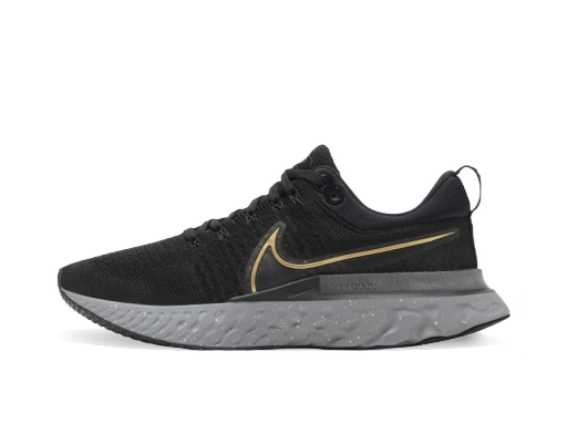 Tek Nike React Infinity Run Flyknit 2 Črna | CT2357-009