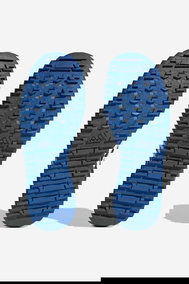 Superge in čevlji adidas Performance Terrex Daroga Two 13 Siva | HP8637, 1