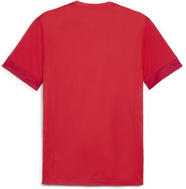 Dres Puma teamGOAL Matchday Jersey Rdeča | 705747-01, 1