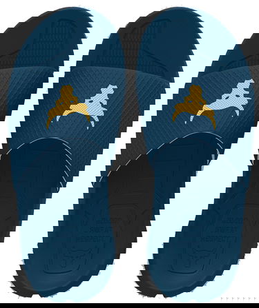Superge in čevlji Under Armour Project Rock Slides Modra | 3025237-400, 4