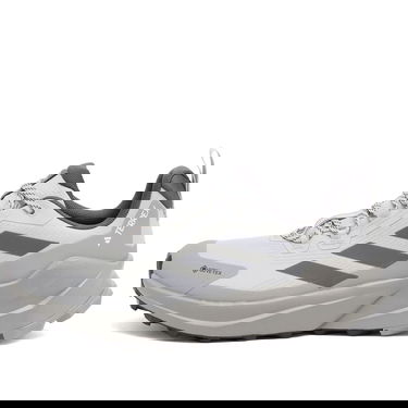 Superge in čevlji adidas Performance Terrex Trailmaker 2 GTX Size UK 10 Siva | IH3736, 0