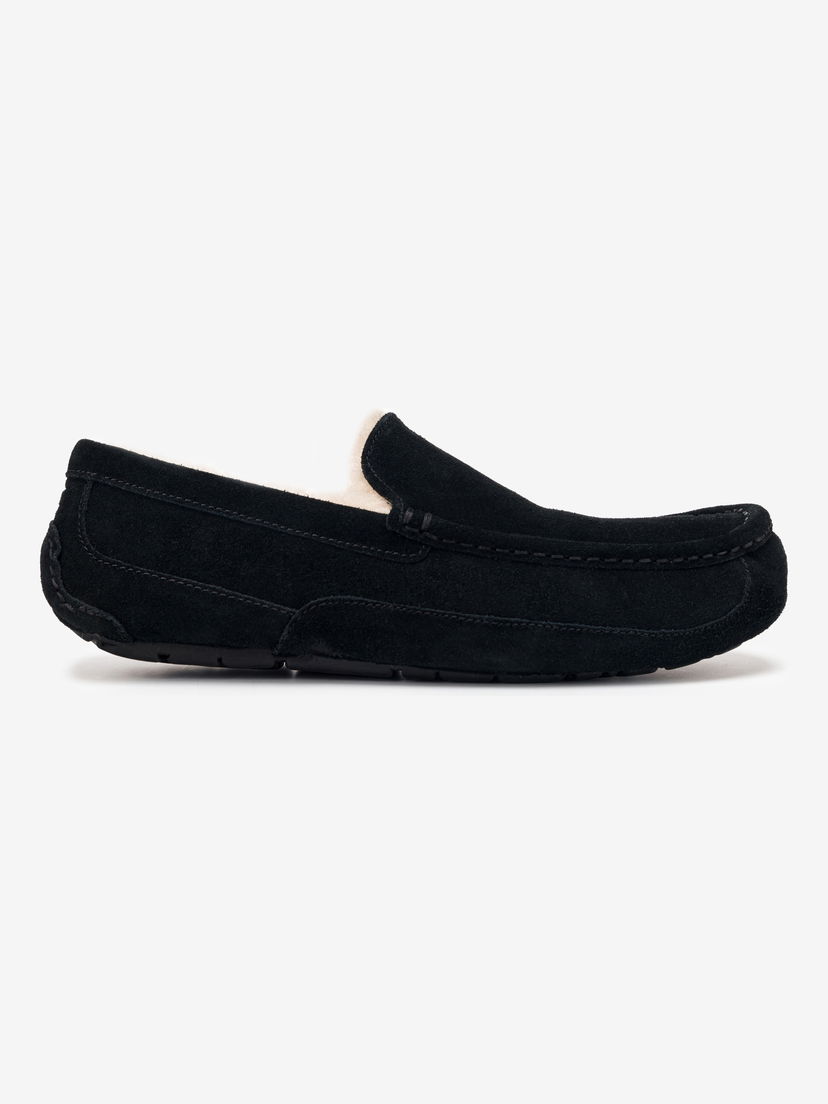 Superge in čevlji UGG Ascot Črna | 1101110