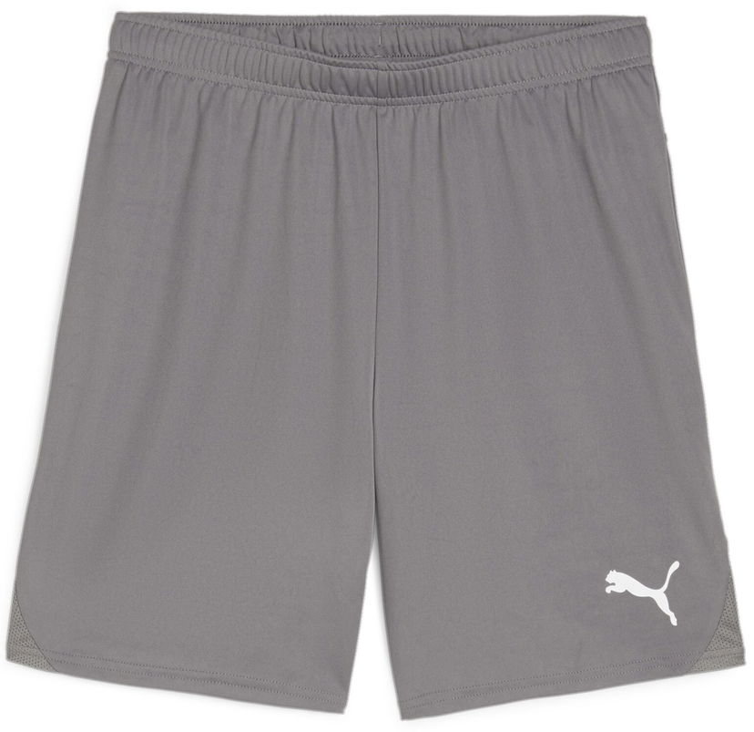 Kratke hlače Puma teamGOAL Shorts Siva | 705752-13