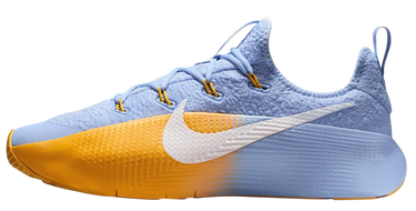 Superge in čevlji Nike LeBron TR 1 'Aluminium University Gold' Večbarvna | FJ6151-401, 1