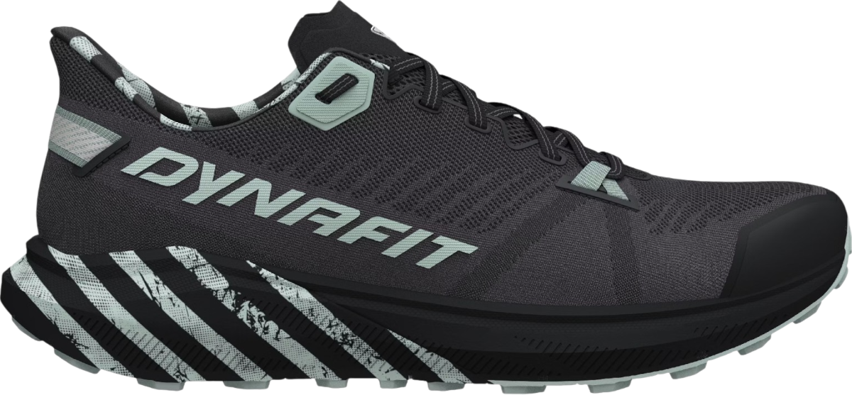 Superge in čevlji Dynafit Dynafit Trail Graphic Siva | 08-0000064114-0925, 0