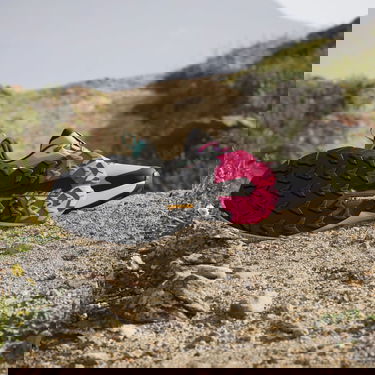 Superge in čevlji adidas Performance TRAILMAKER 2 GORE-TEX Siva | IE4841, 1