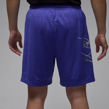 Kratke hlače Jordan Jordan Sport Dri-FIT Graphic Shorts Lila | HF9943-543, 2