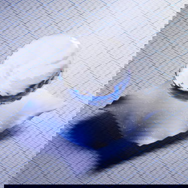 Vetrovka adidas Performance Myshelter Rain.Rdy Jacket Rumena | IM8529, 3