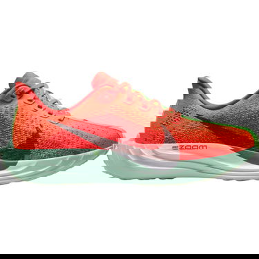Superge in čevlji Nike Pegasus Plus Rdeča | FQ7261, 0