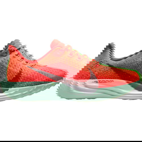 Superge in čevlji Nike Pegasus Plus Rdeča | FQ7261