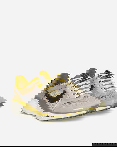 Superge in čevlji Nike Air Zoom Pegasus 41 SP Zelena | HQ6025-001, 2
