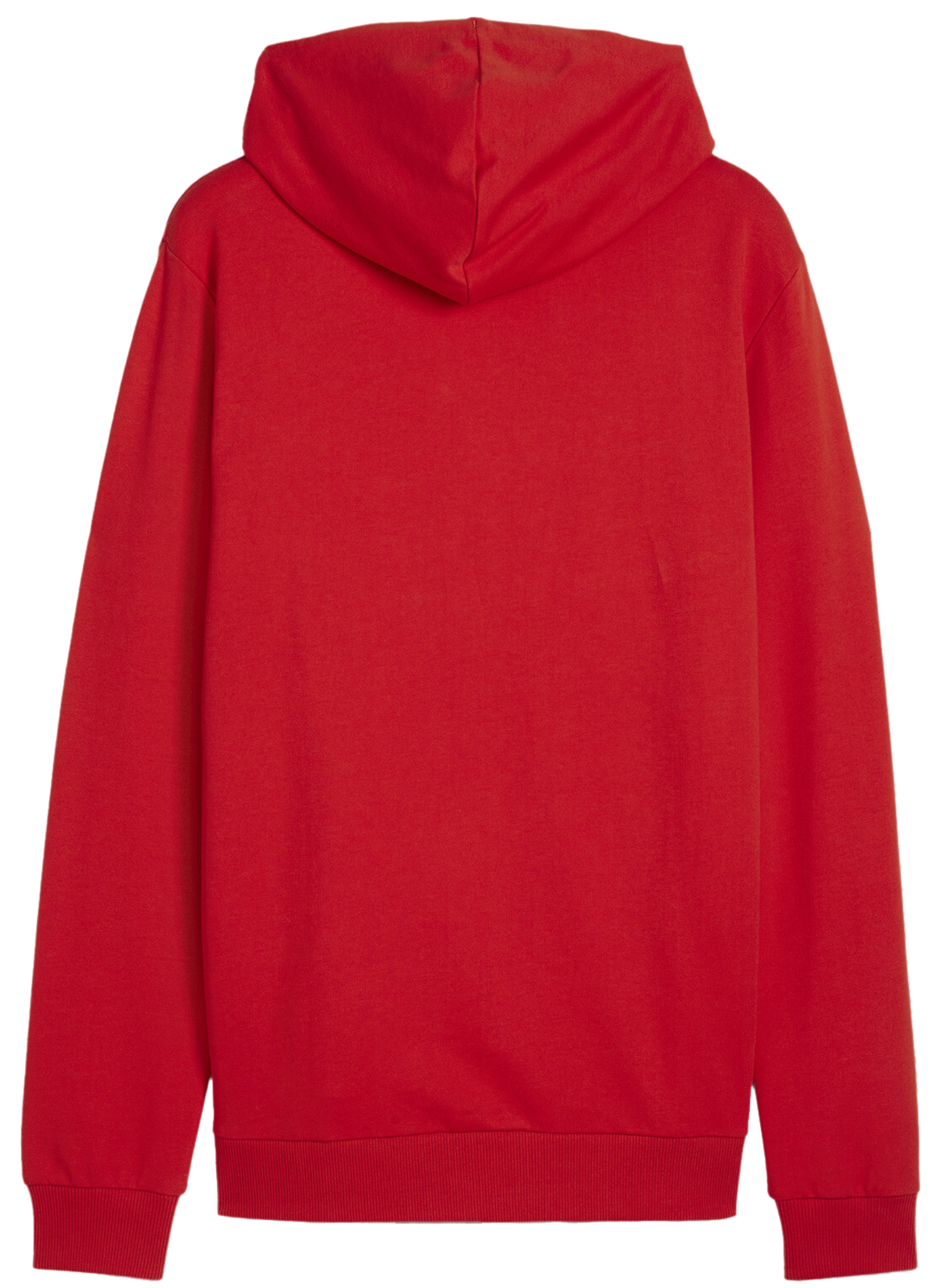 Pulover Puma teamGOAL Casuals Hoody Rdeča | 658618-01, 1