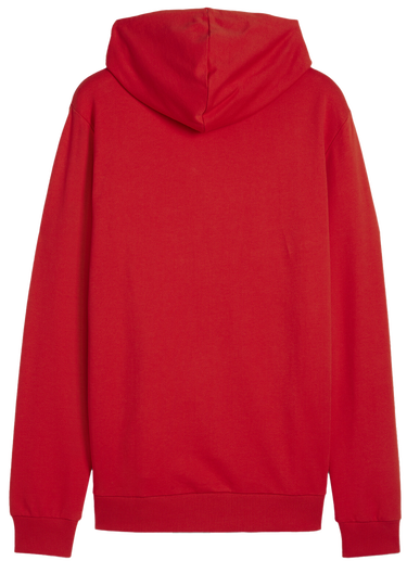 Pulover Puma teamGOAL Casuals Hoody Rdeča | 658618-01, 1