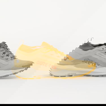 Superge in čevlji Nike React Pegasus Trail 5 GTX SP Bež | HQ7494-700, 2