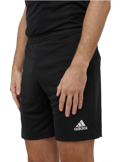 Kratke hlače adidas Performance Entrada 22 Črna | H57504