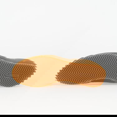 Superge in čevlji Converse Golf Le Fleur x Coach Jogger Rjava | A16299C, 2