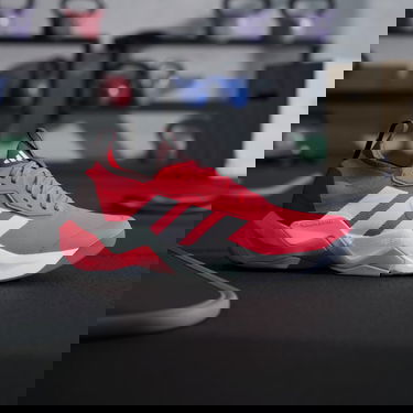 Superge in čevlji adidas Performance Rapidmove ADV 2 Roza | JI2058, 2