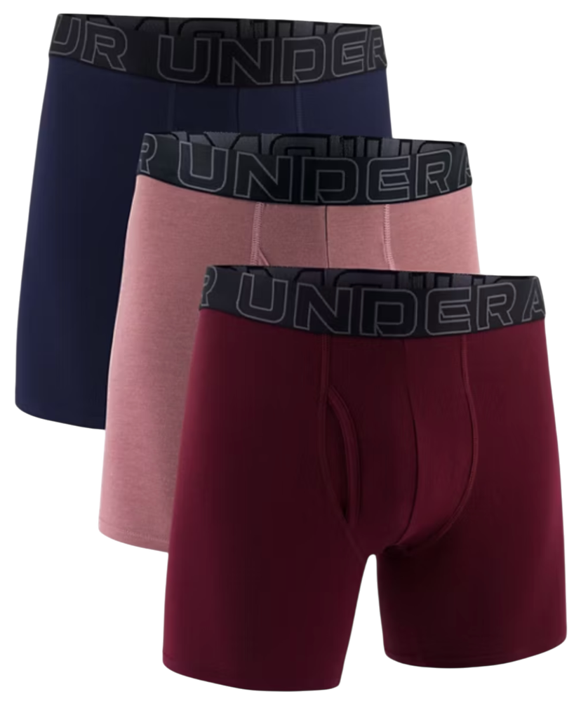 Boksarice Under Armour Under Armour SOLID 6in 3 Pack Boxer Shorts Večbarvna | 1383889-651
