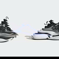 Alphaboost V1