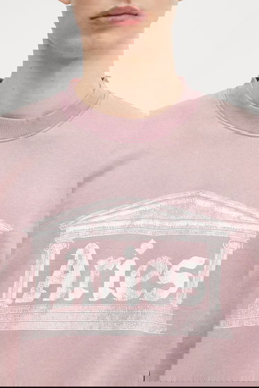 Pulover Aries Aries Aged Ancient Column Graphic Sweatshirt Roza | AR2003303, 6