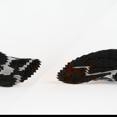 Superge in čevlji Salomon Xt-6 Gore-tex Siva | L47861400, 2