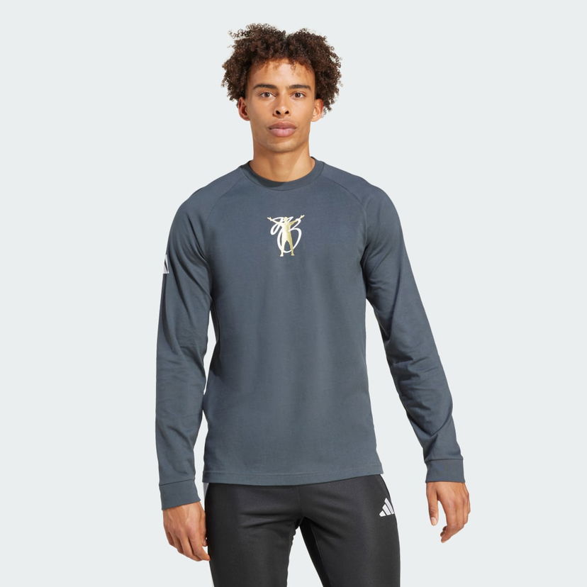 Majica adidas Performance Long Sleeve Graphic Tee Siva | JM9351