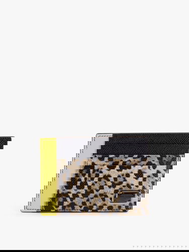 Denarnica Dolce & Gabbana Dolce & Gabbana Leopard Print Card Holder Večbarvna | BP3325A6N738Z857, 0