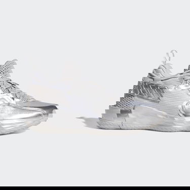 Superge in čevlji adidas Performance Dame 7 EXTPLY Kovinski | FZ0172, 0