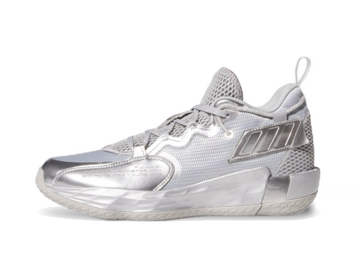 Košarka adidas Performance Dame 7 EXTPLY Kovinski | FZ0172