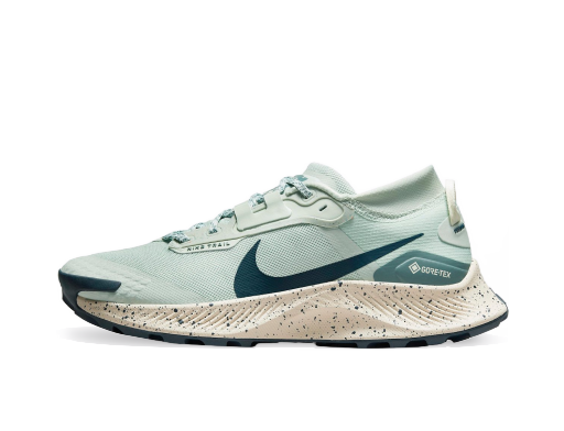 Tek Nike Pegasus Trail 3 GTX Turkizna | dc8794-003