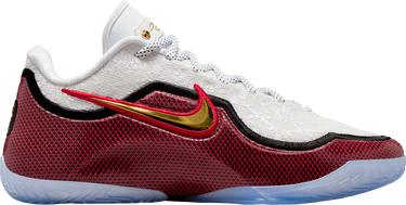 Superge in čevlji Nike LeBron XXIII Večbarvna | hj5629-100, 0