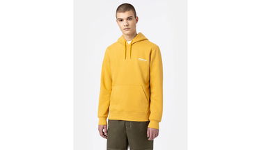 Pulover Dickies Camden Box Hoodie Rumena | DK0A4XYSC96, 3