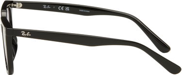 Sončna očala Ray-Ban RB4439D Square Sunglasses Črna | 0RB4439D 901/7254 8056262268964, 2